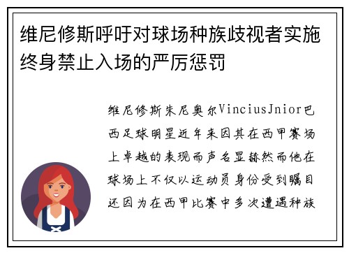 维尼修斯呼吁对球场种族歧视者实施终身禁止入场的严厉惩罚