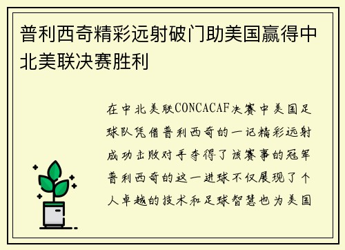 普利西奇精彩远射破门助美国赢得中北美联决赛胜利