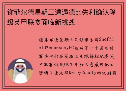谢菲尔德星期三遭遇德比失利确认降级英甲联赛面临新挑战